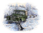 Series II with Collie in the Snow - Christmas Card